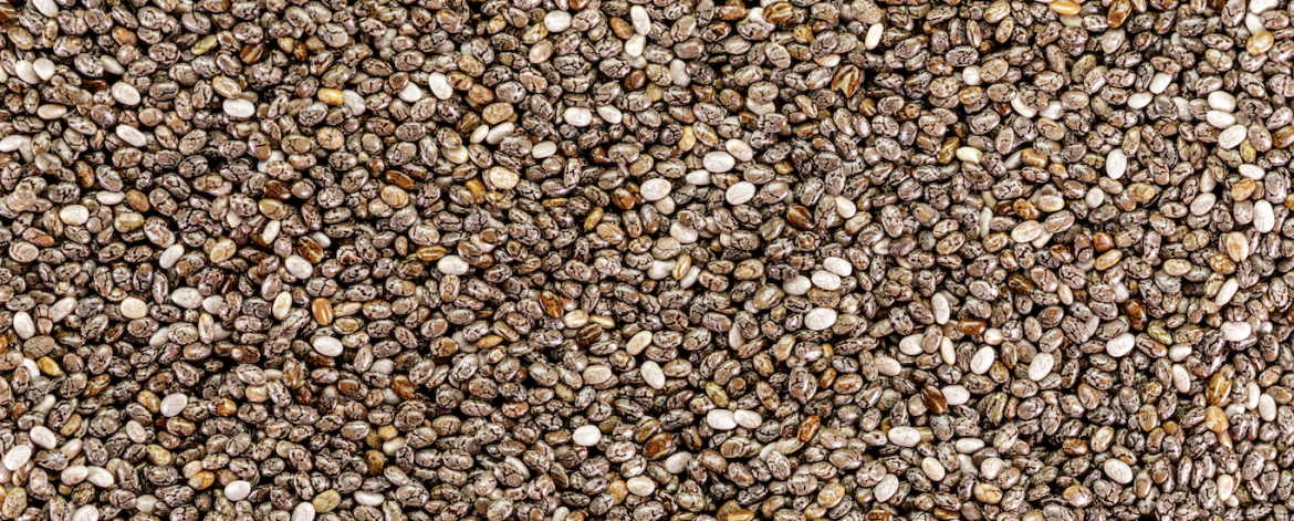 chia seeds chia seeds