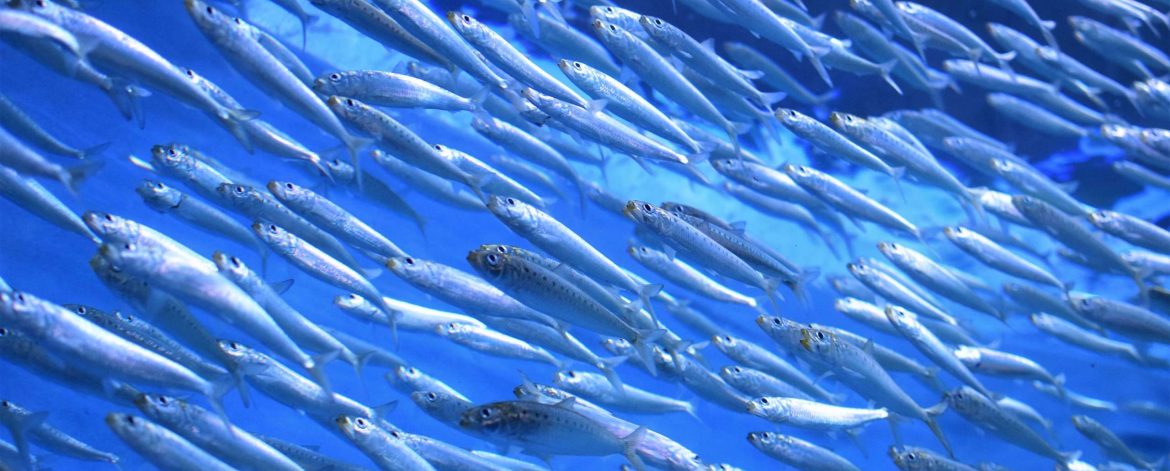 kate-estes-4e4wPvRZ_9Q-unsplash