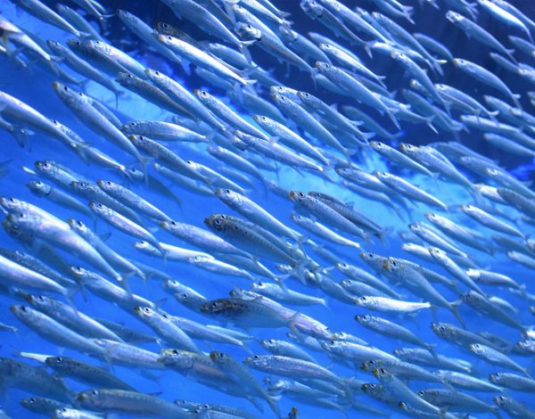 kate-estes-4e4wPvRZ_9Q-unsplash