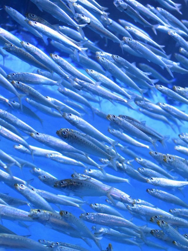 kate-estes-4e4wPvRZ_9Q-unsplash