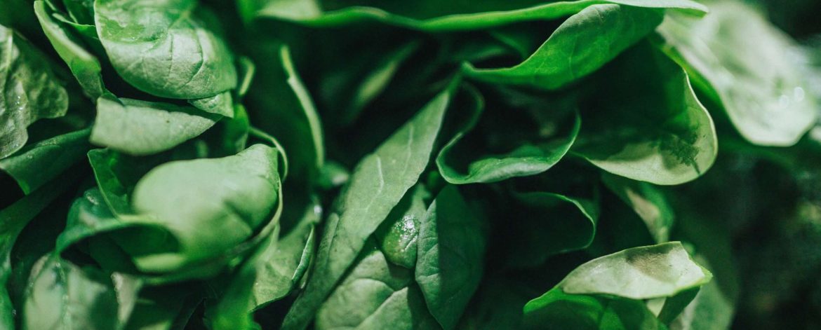 nathan-dumlao-m6DAgQyxjAo-unsplash