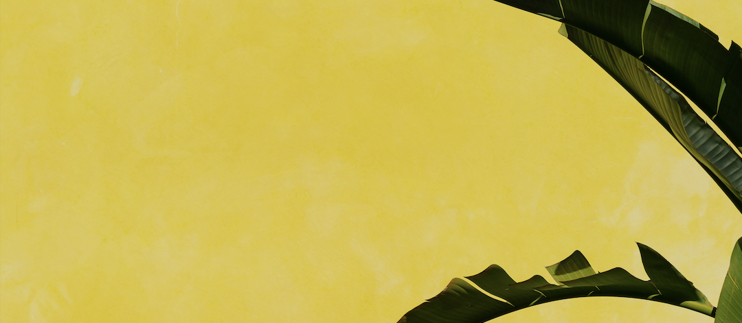 Screen Shot 2023-09-22 at 10.40.55