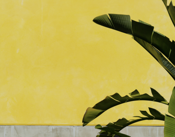 Screen Shot 2023-09-22 at 10.40.55