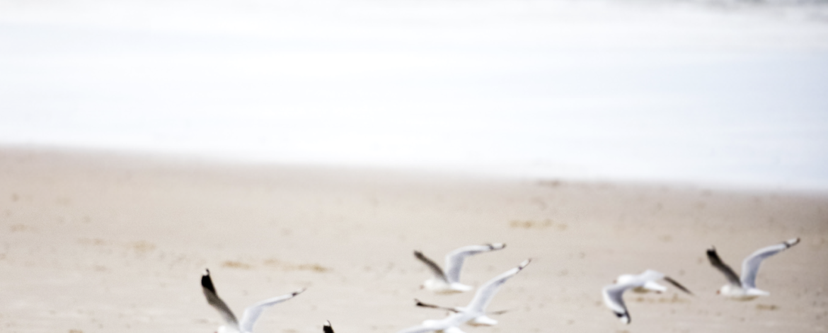 beach in queensland beach in queensland